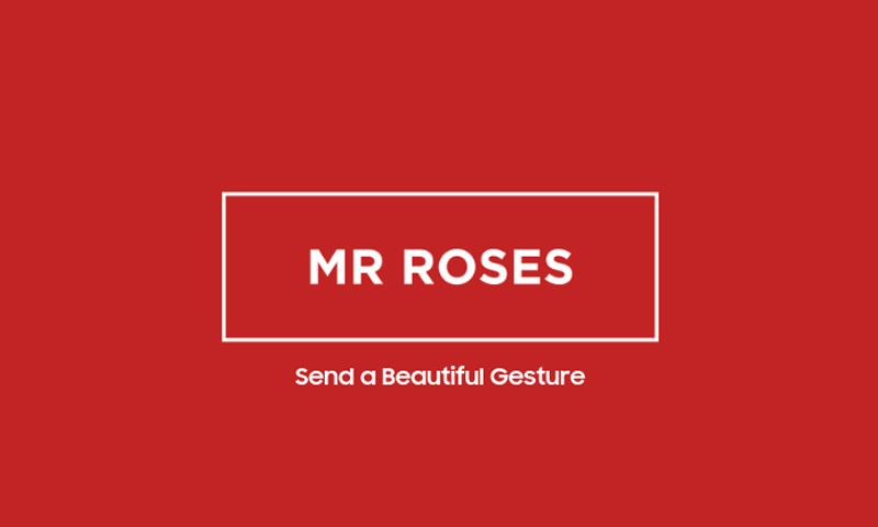 Mr Roses Australia