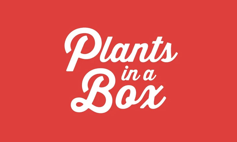 Plants in a Box Australia