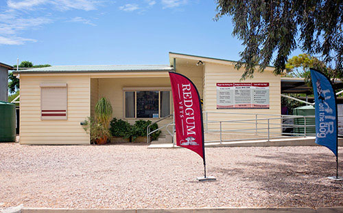 Redgum Vet and Pet Boarding