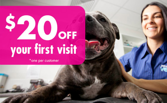 $20 off Your First Visit